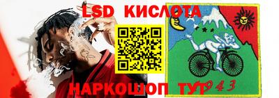 стафф Будённовск