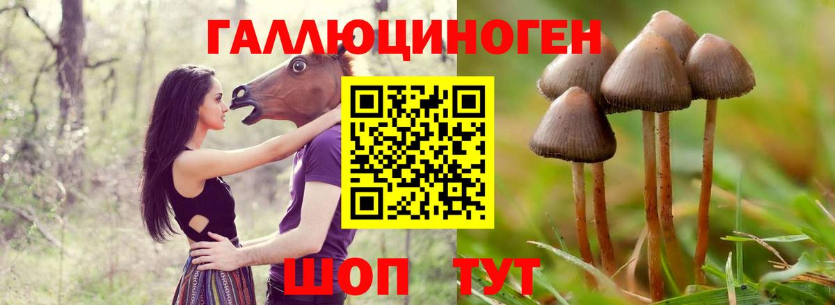 Галлюциногенные грибы GOLDEN TEACHER Углич
